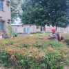 深圳地區(qū)園林綠化養(yǎng)護(hù)、綠植修剪、綠化管養(yǎng)